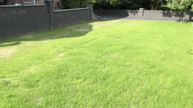 Anlegen von Rasenflächen galerie 6